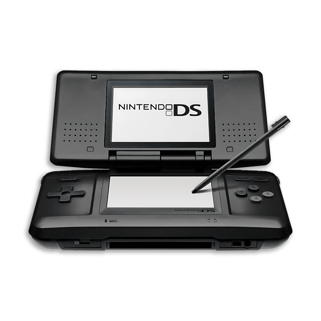 Carrying Case - DS