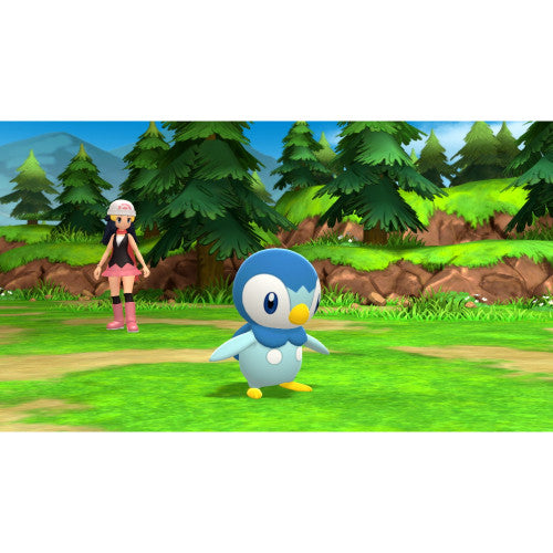 PokemonBrilliantDiamondShiningPearlDoublePack_scrn_03__27664.jpg