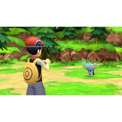 PokemonBrilliantDiamondShiningPearlDoublePack_scrn_07__00966.jpg