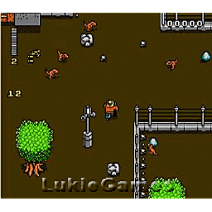 Jurassic Park - NES Game | Retrolio Games