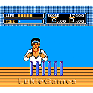 Karate Kid - NES Game | Retrolio Games