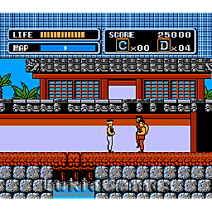 Karate Kid - NES Game | Retrolio Games