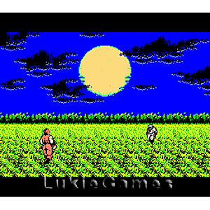 Ninja Gaiden - NES Game - Image 3